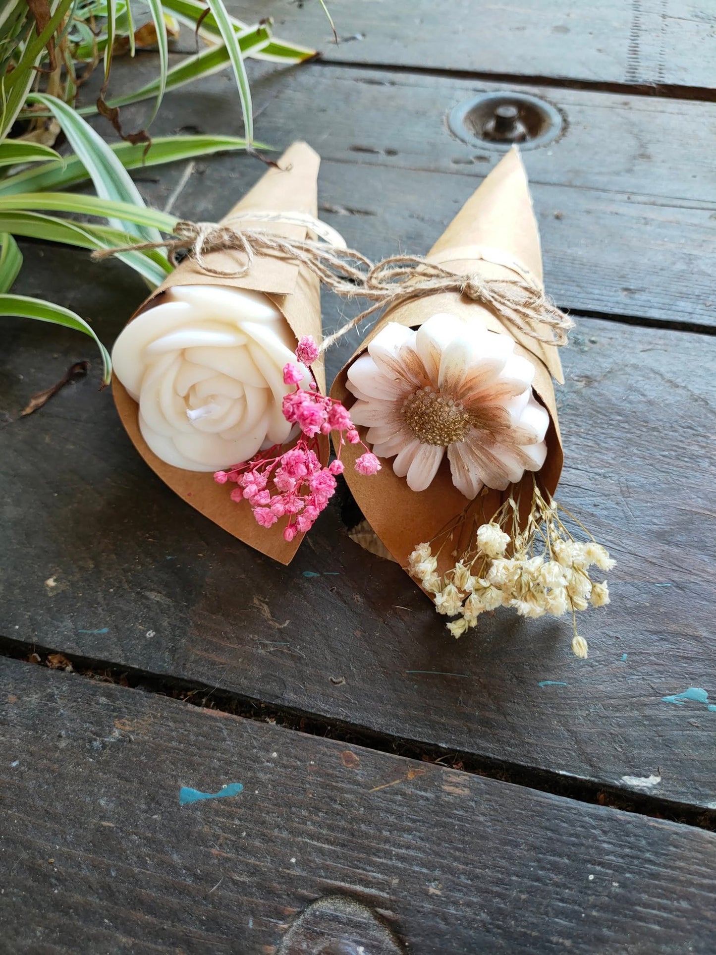 Cône fleur