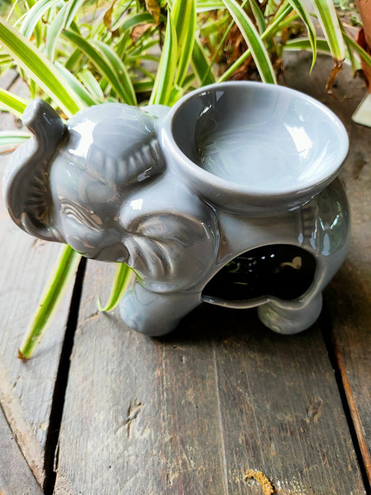 Brûle parfum Tandor Gris