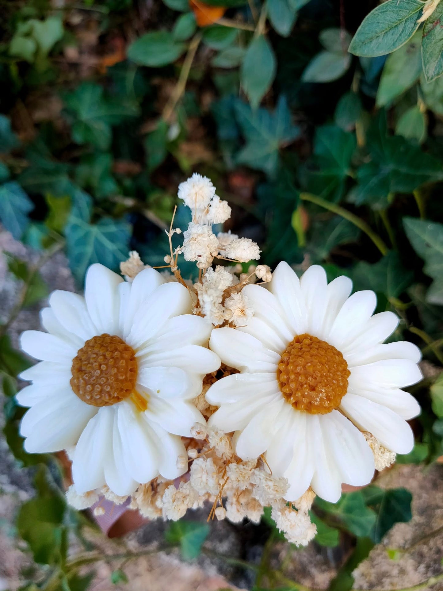 bouquet marguerites