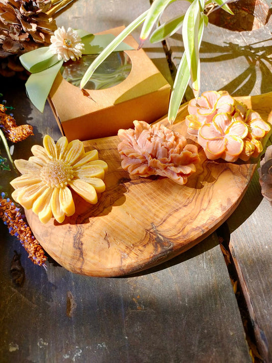 Magnets Fleurs