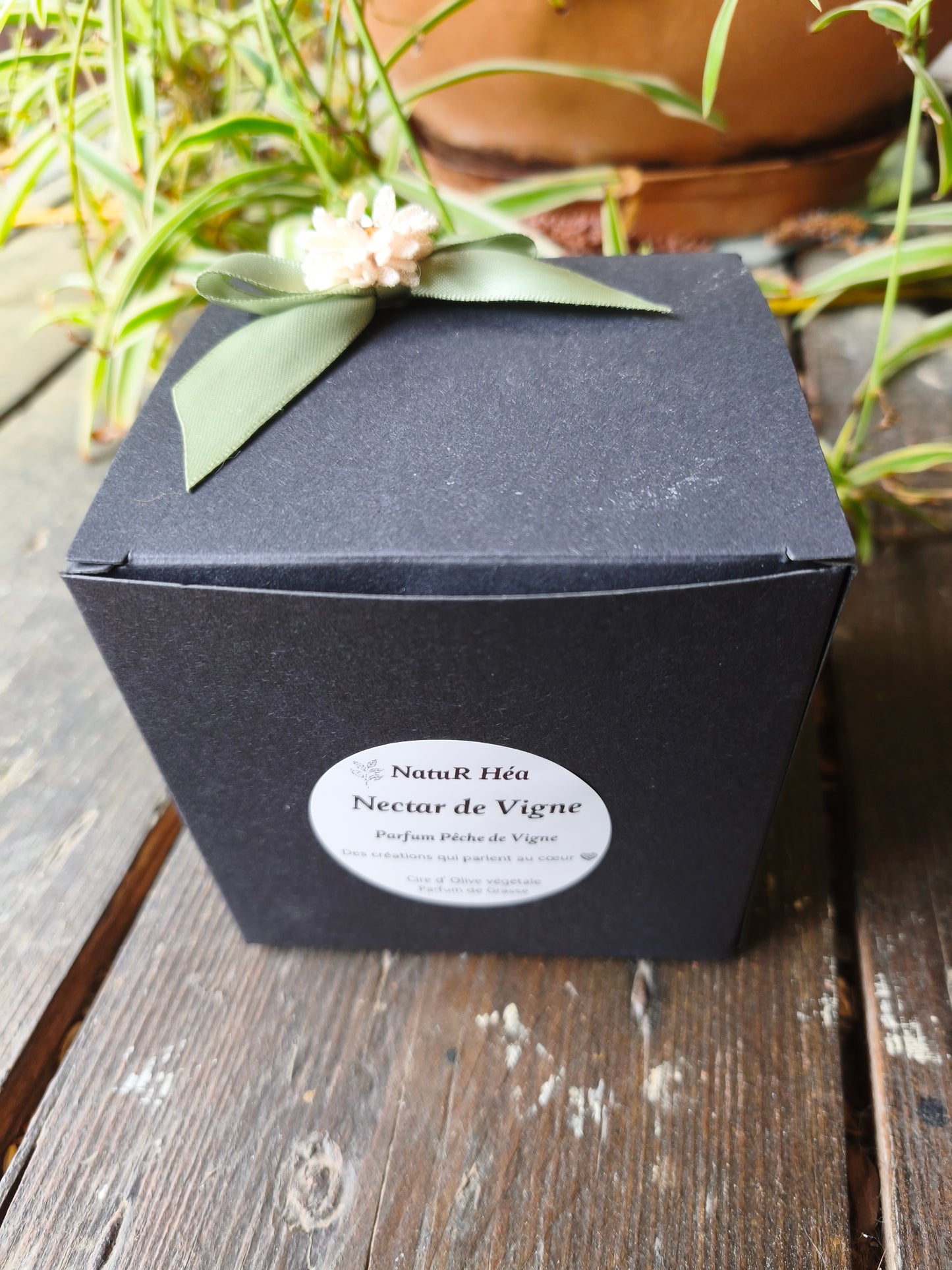 Nectar de Vigne – Rose sous Cloche