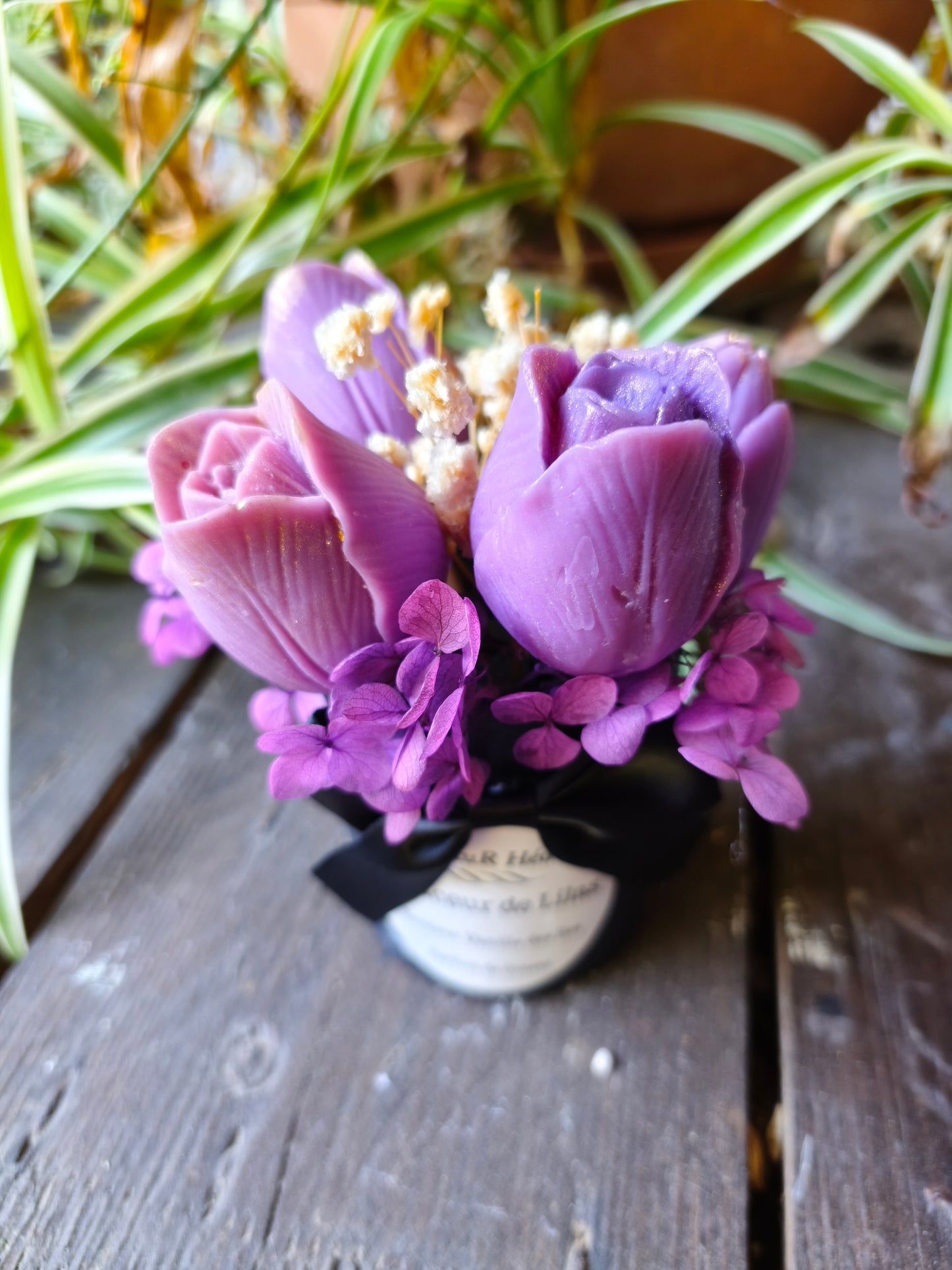 Douceur de Lilas