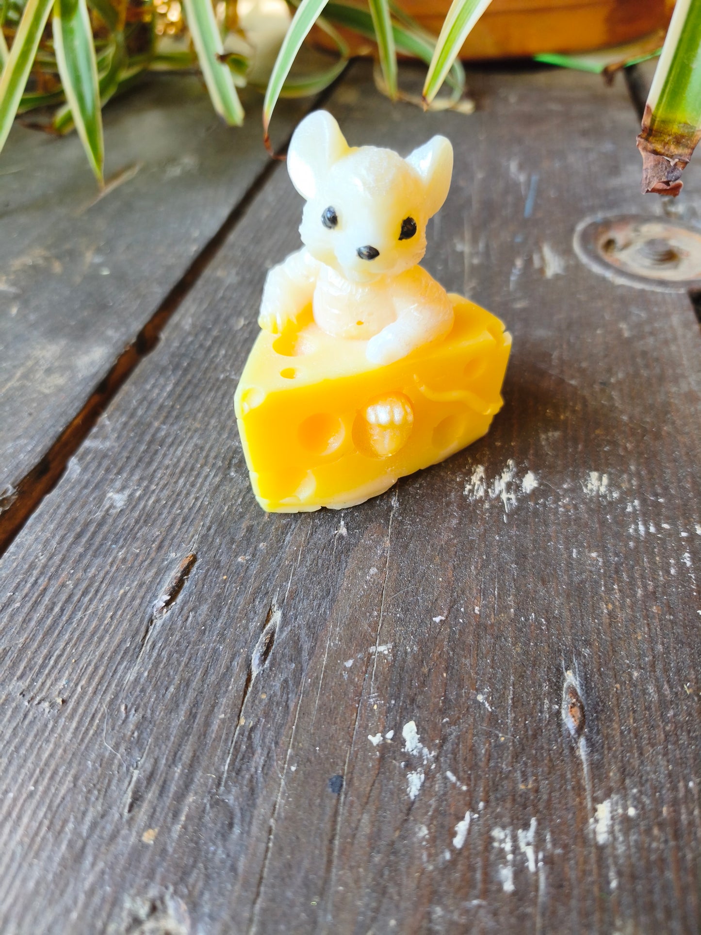 🐭 Le Trésor de la Petite Souris – Fondant parfumé Barbe à Papa
