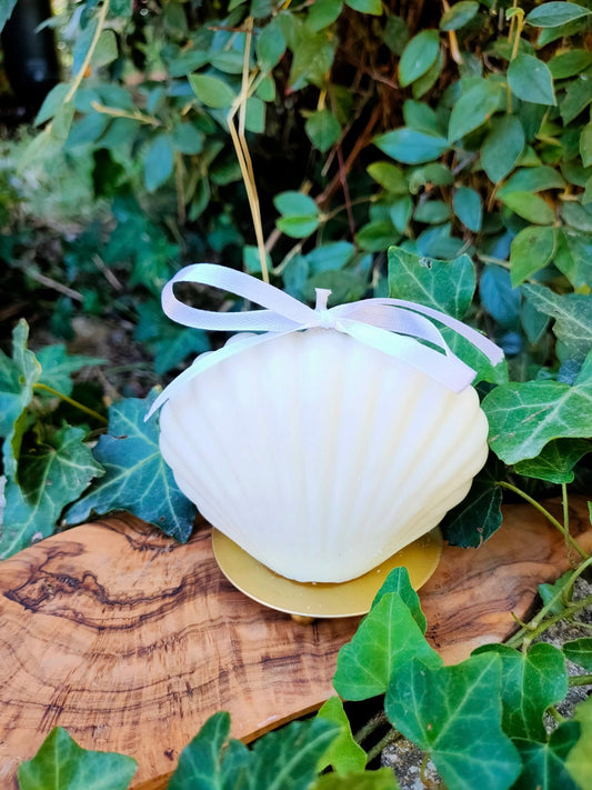 Bougie coquillage