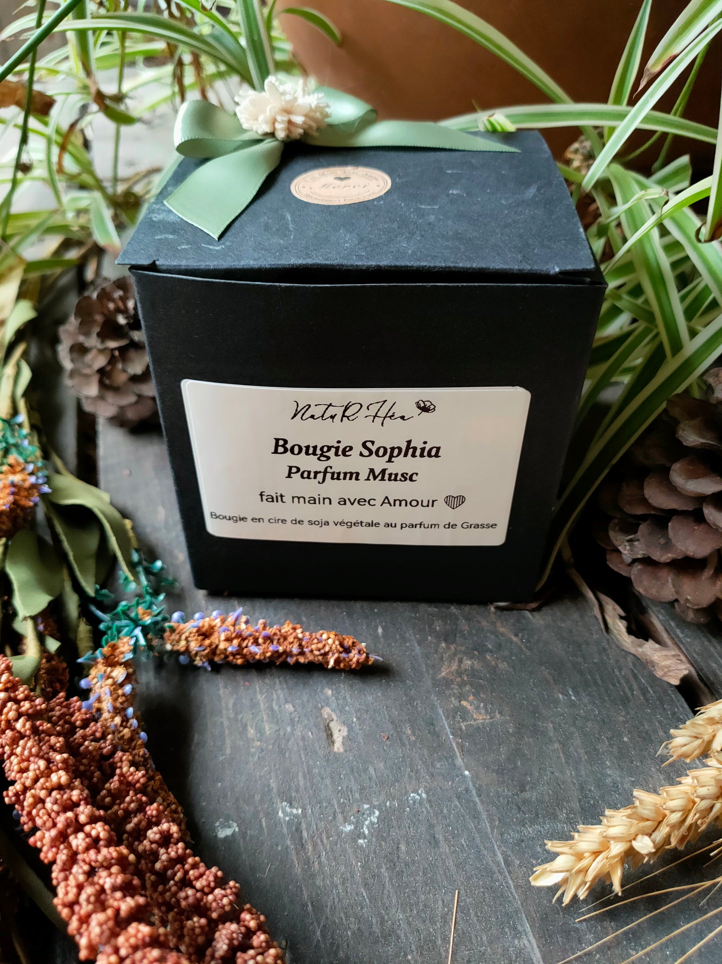 Bougie Sophia