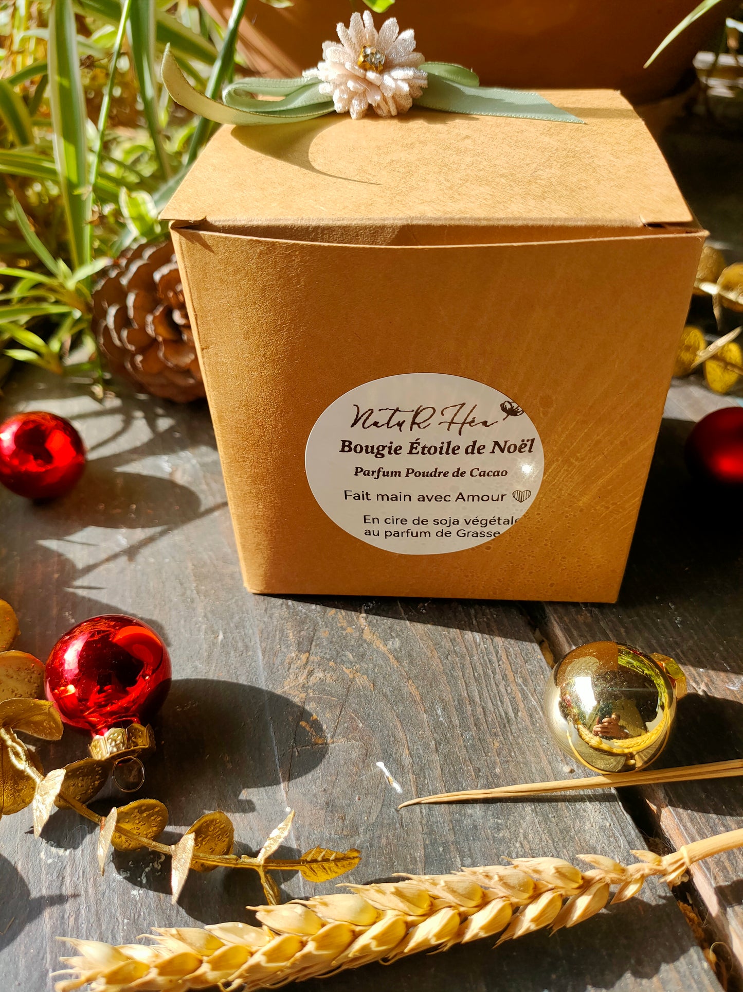 Bougie Étoile de Noël