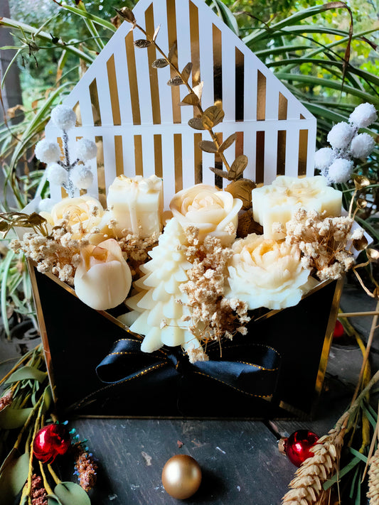 Élégance d' hiver et orangettes