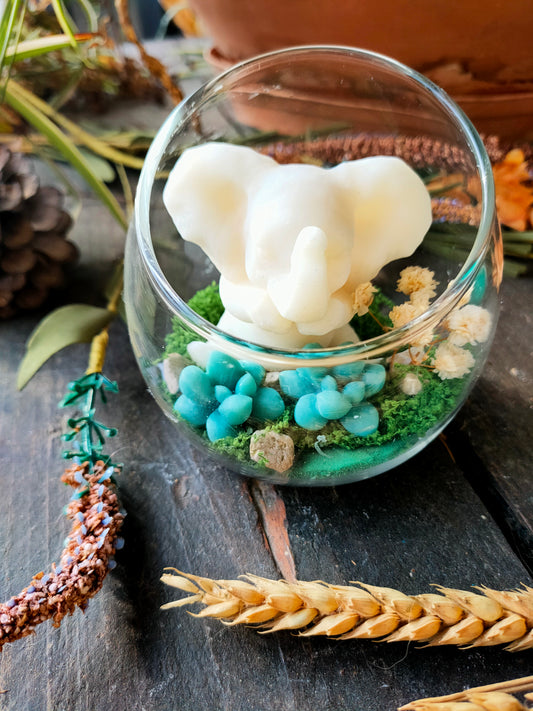 Max l'éléphant - fondants parfum Magnolia