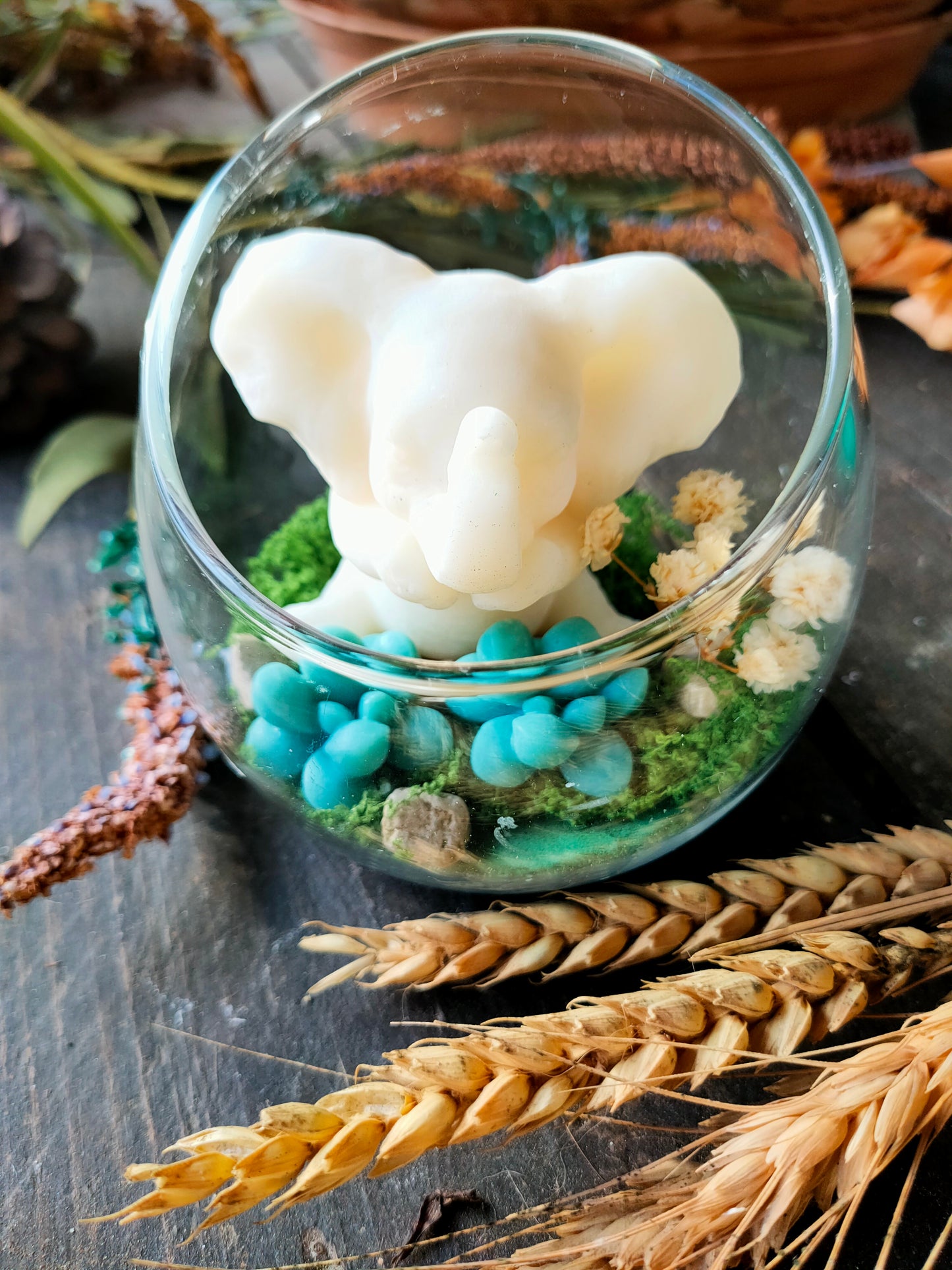 Max l'éléphant - fondants parfum Magnolia