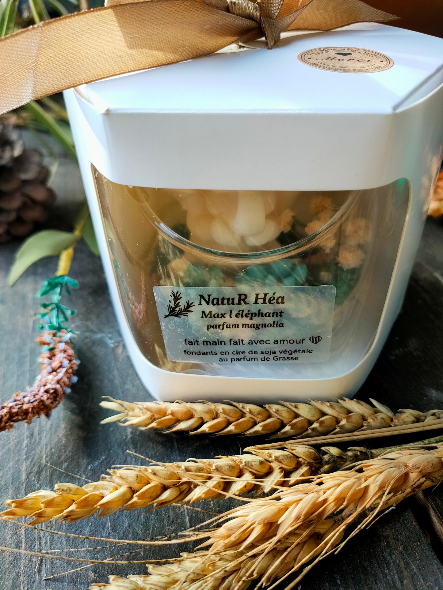 Max l'éléphant - fondants parfum Magnolia