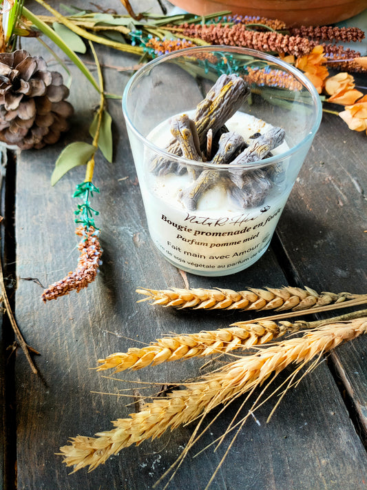 Bougie promenade en forêt Parfum Pomme miel