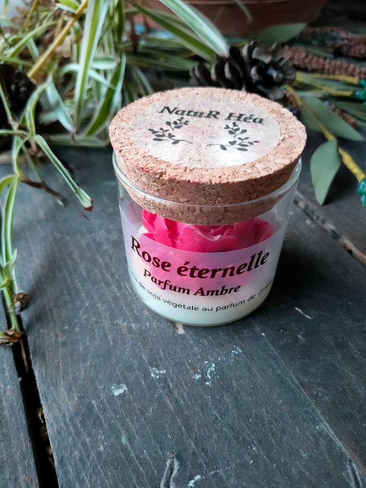 Rose éternelle