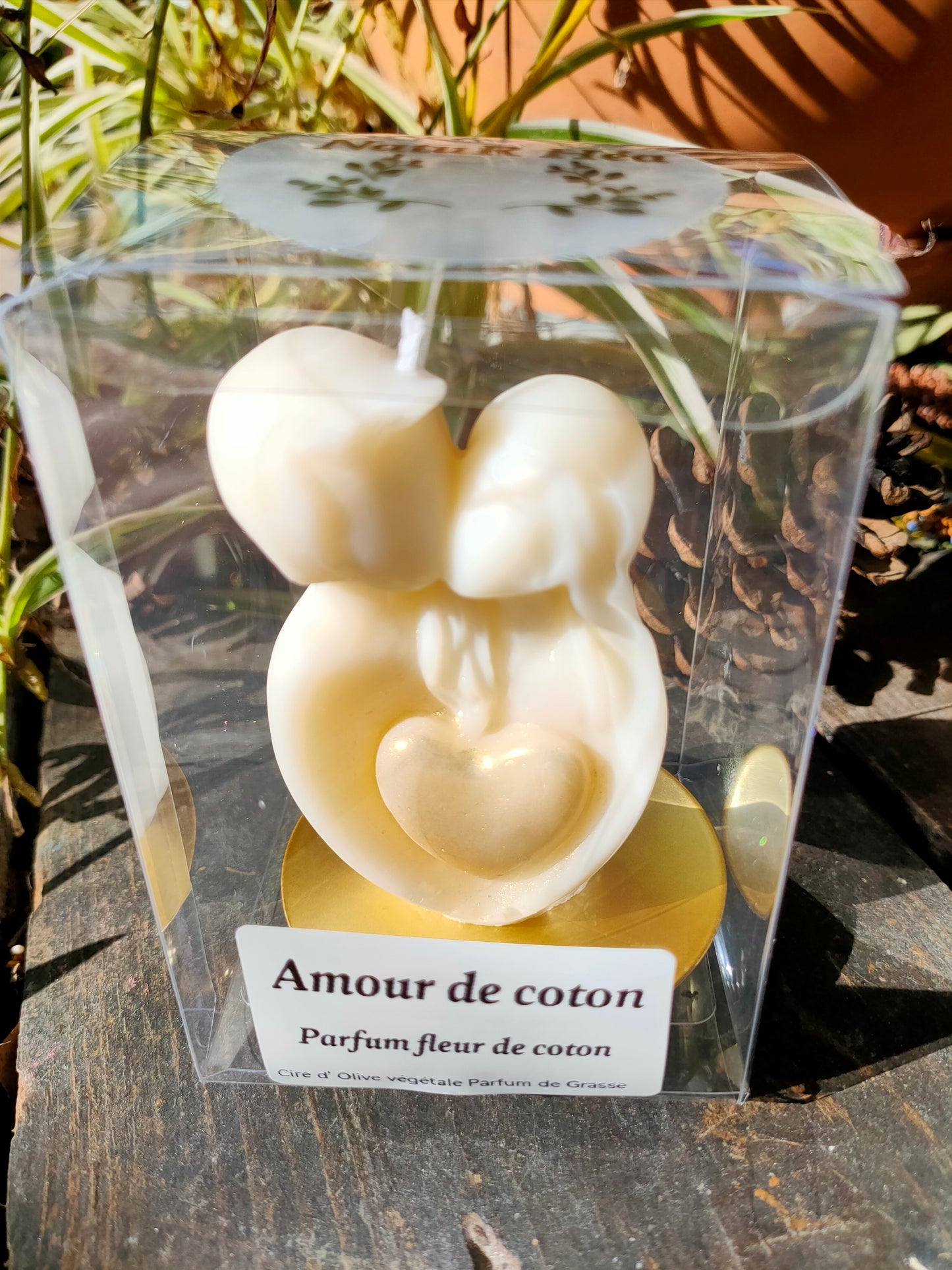 Amour de coton