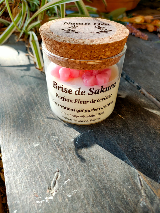 Brise de Sakura