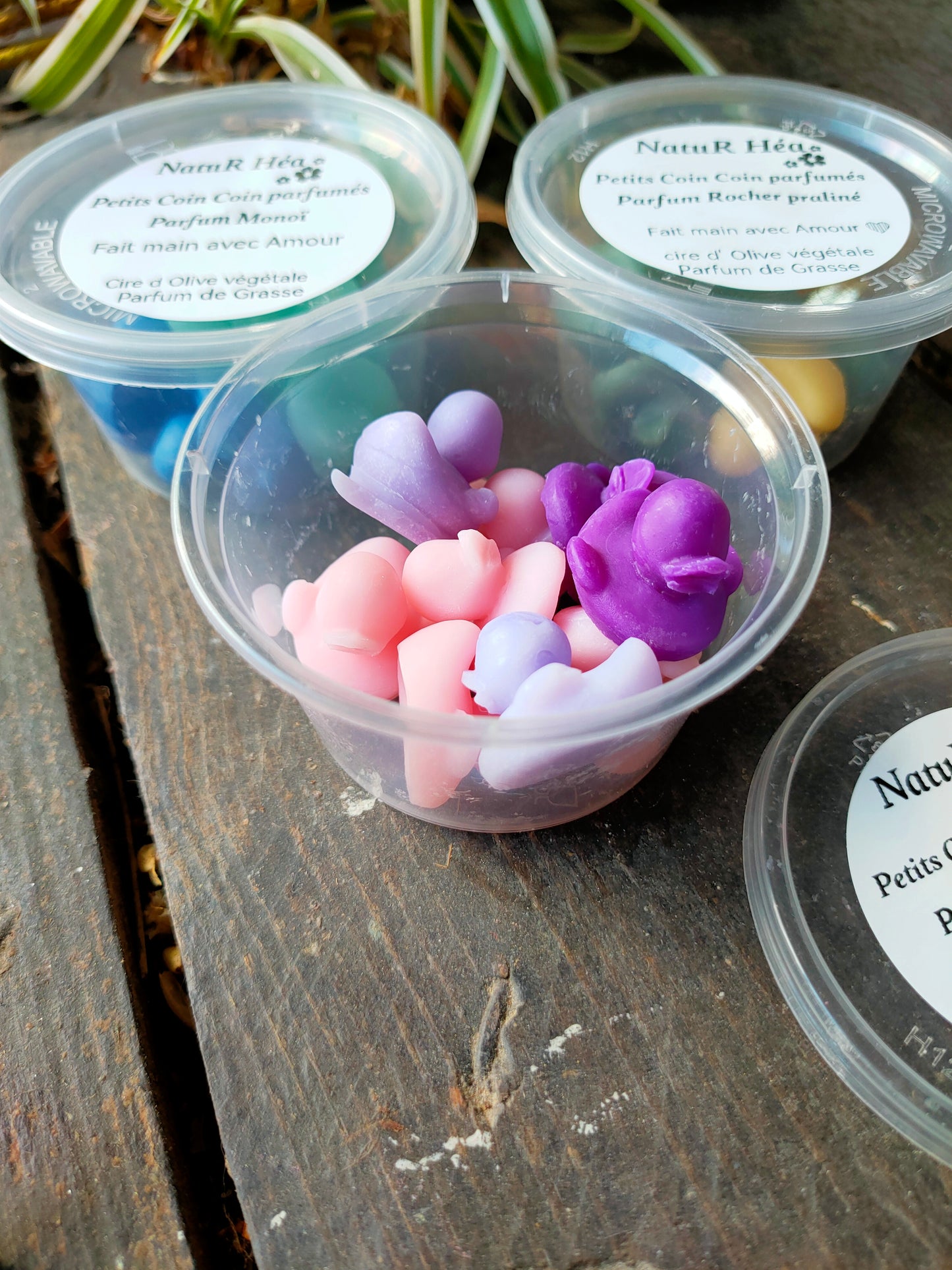 Petits Coin Coin parfumés