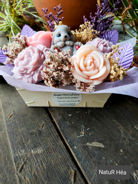 Velours Praliné - Rocher praliné