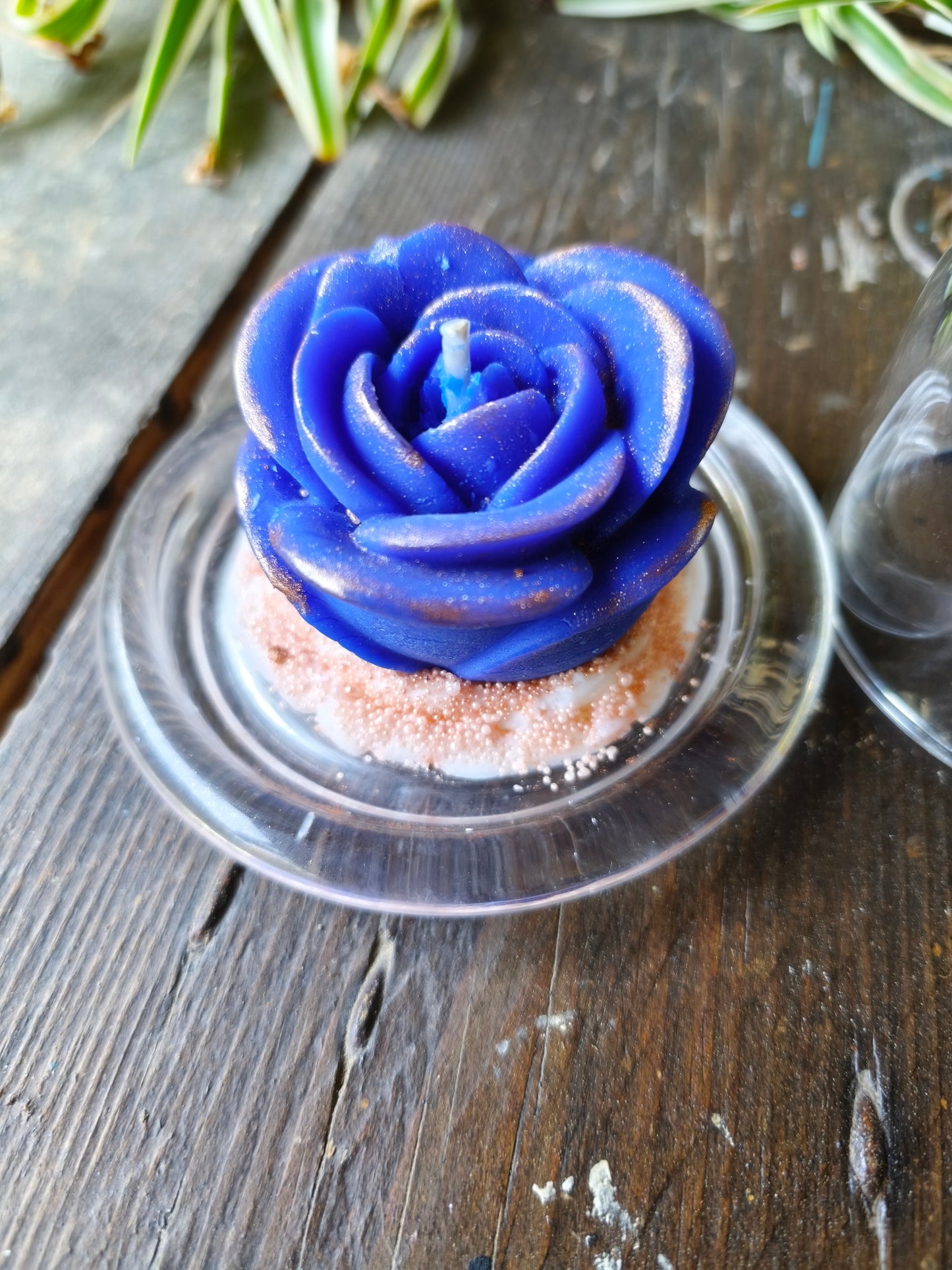 Évasion Monoï – Rose sous cloche
