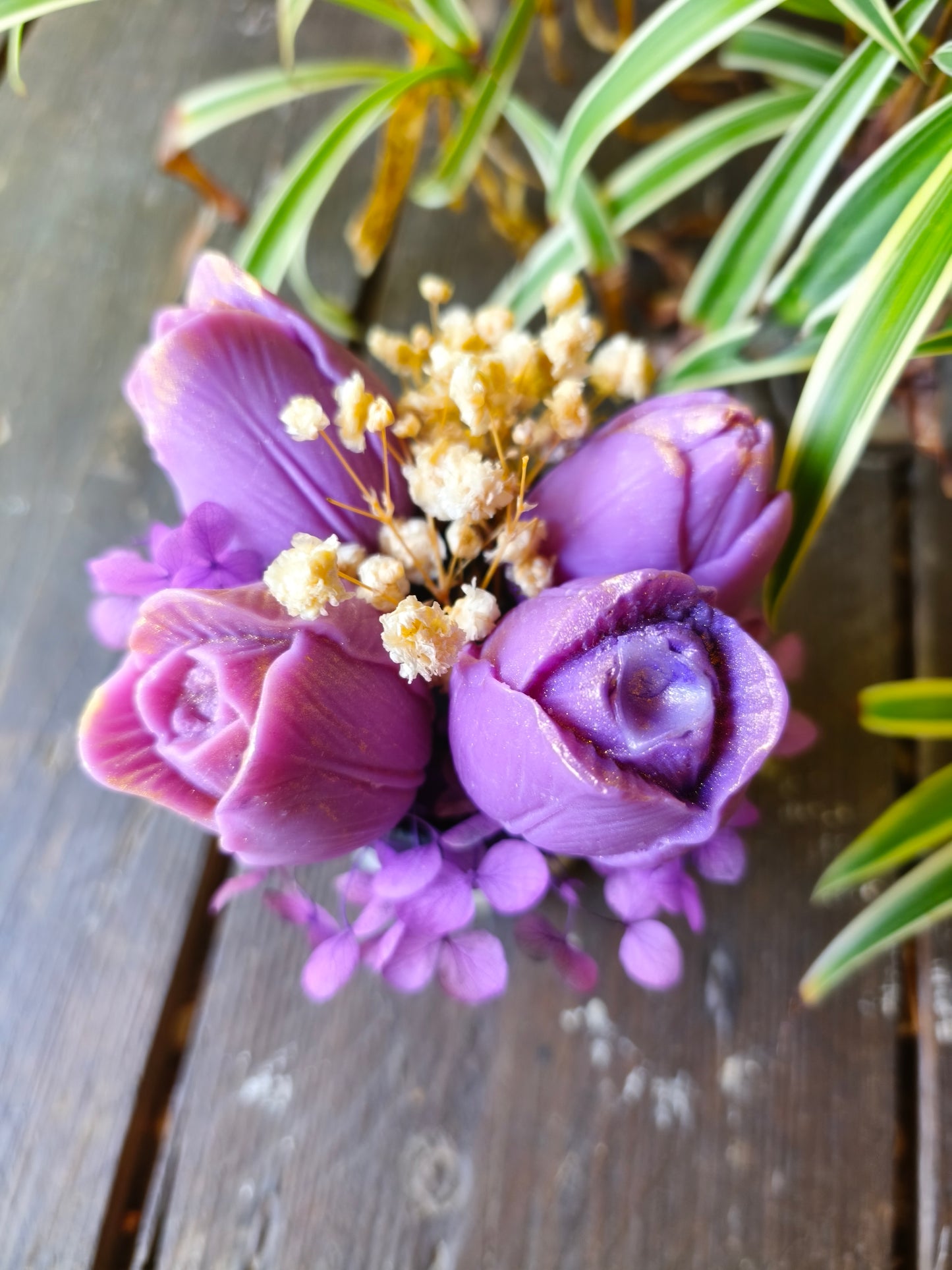 Douceur de Lilas