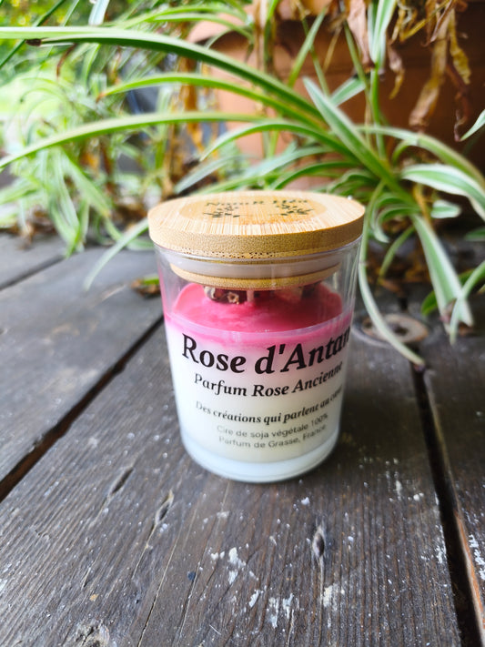 Bougie parfumée Rose d'Antan – Rose Ancienne