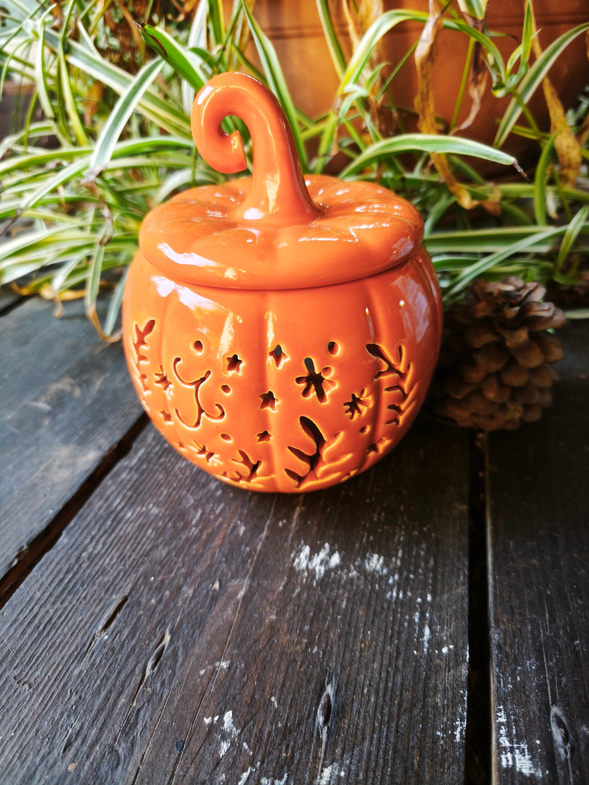 Lueur d’Automne 🍂🎃.