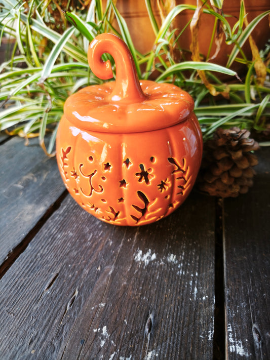 Lueur d’Automne 🍂🎃.