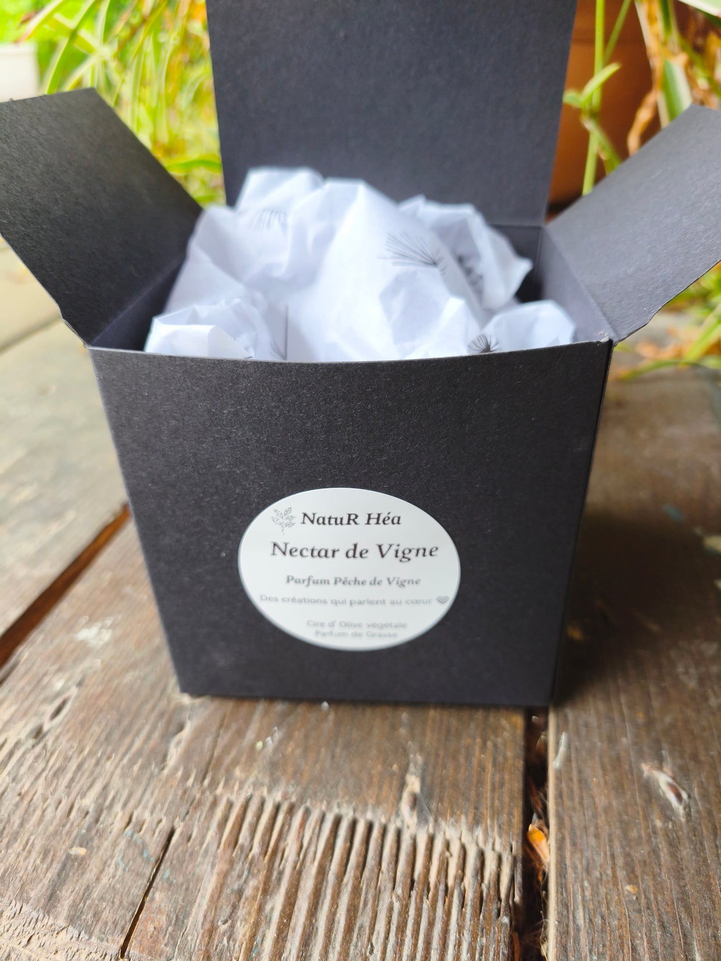 Nectar de Vigne – Rose sous Cloche