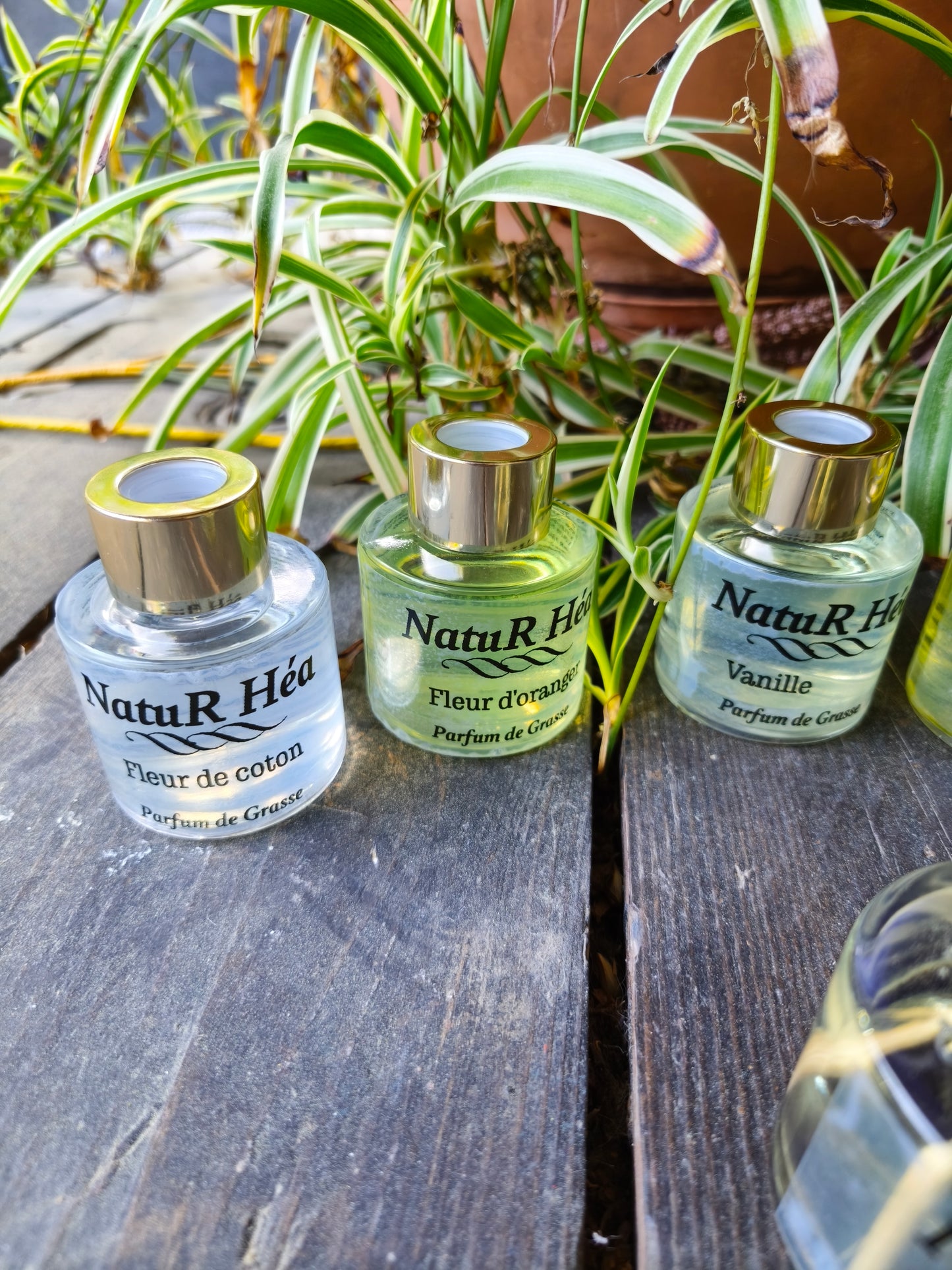 Diffuseur Parfumé d intérieur