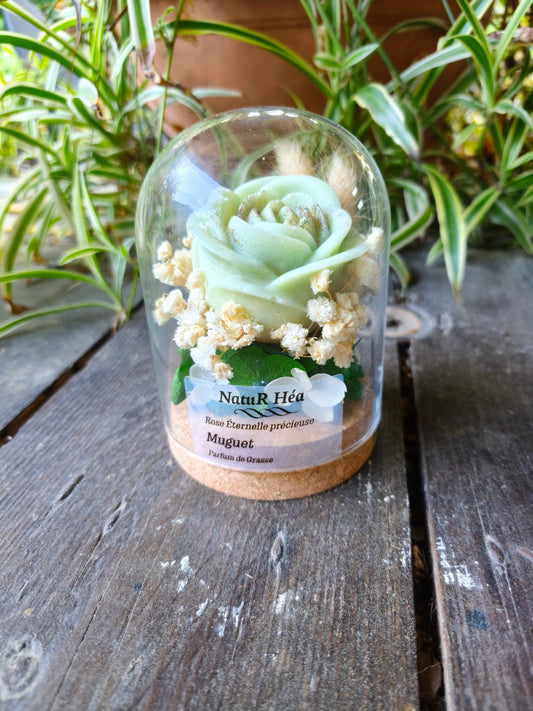 Rose éternelle précieuse senteur muguet Parfum de Grasse