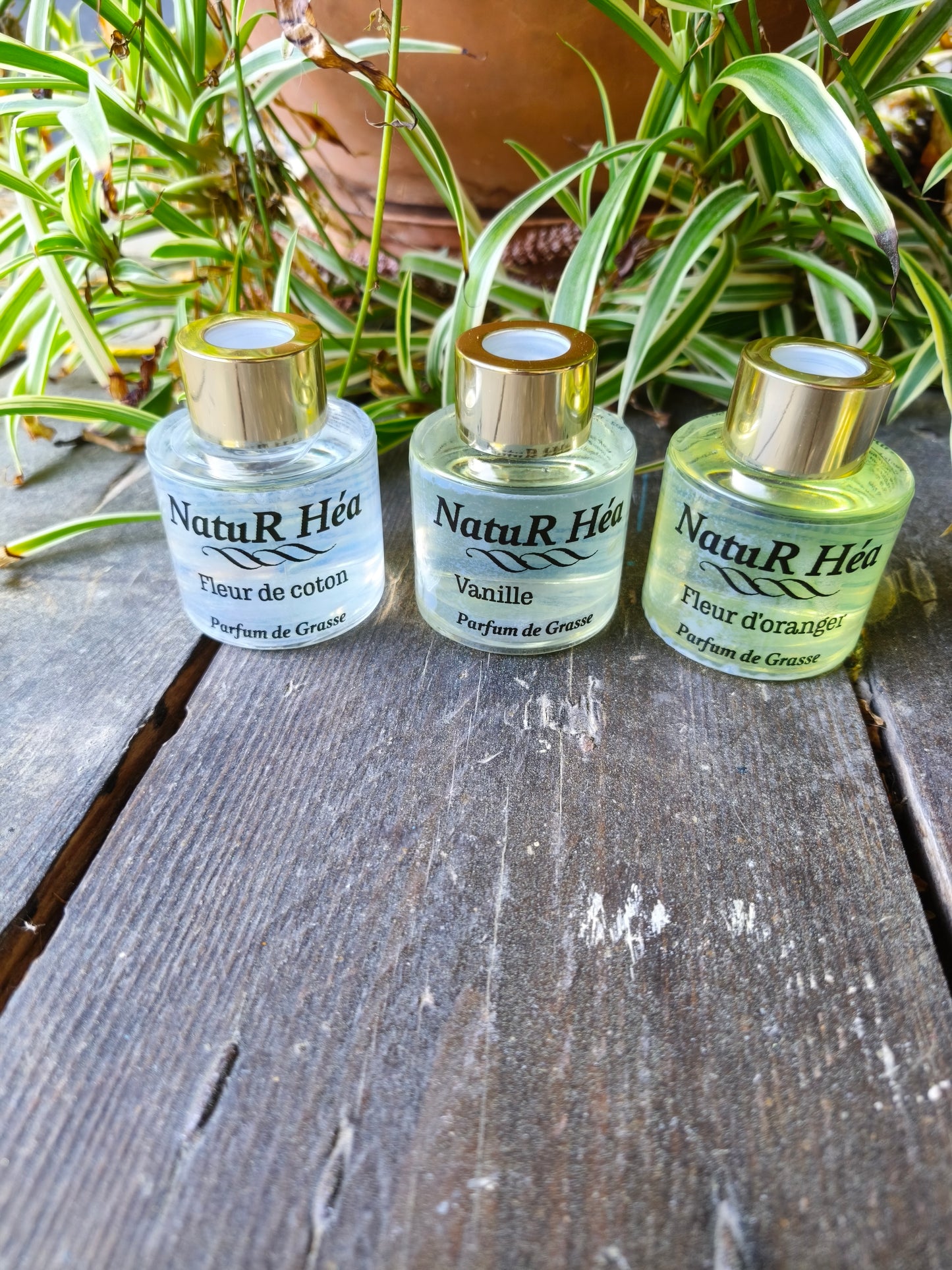 Diffuseur Parfumé d intérieur