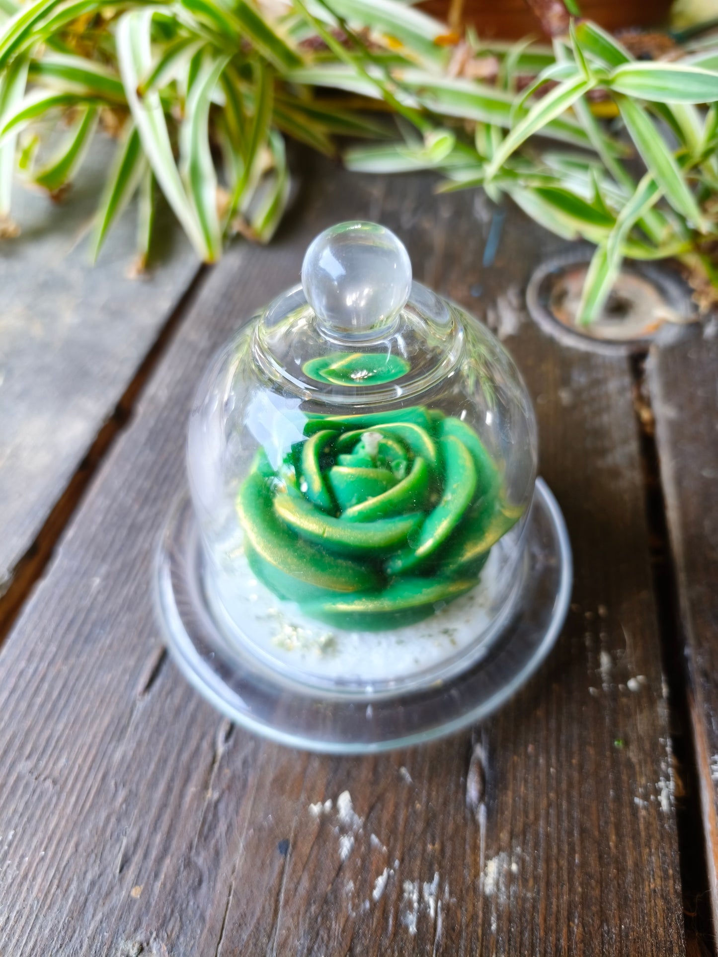Nectar de Vigne – Rose sous Cloche