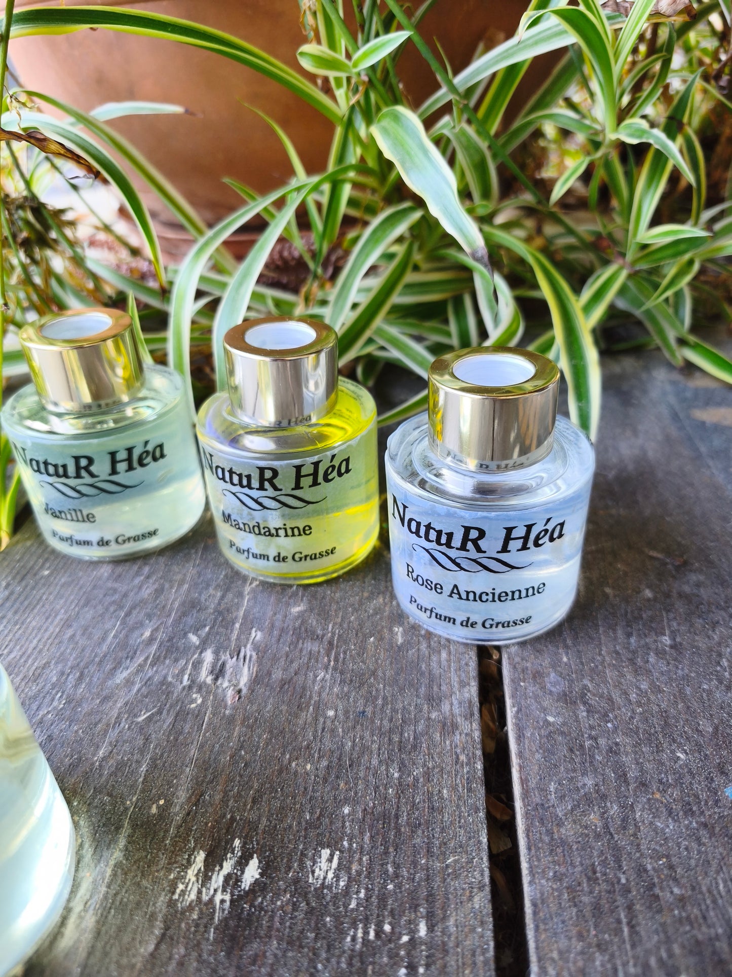 Diffuseur Parfumé d intérieur