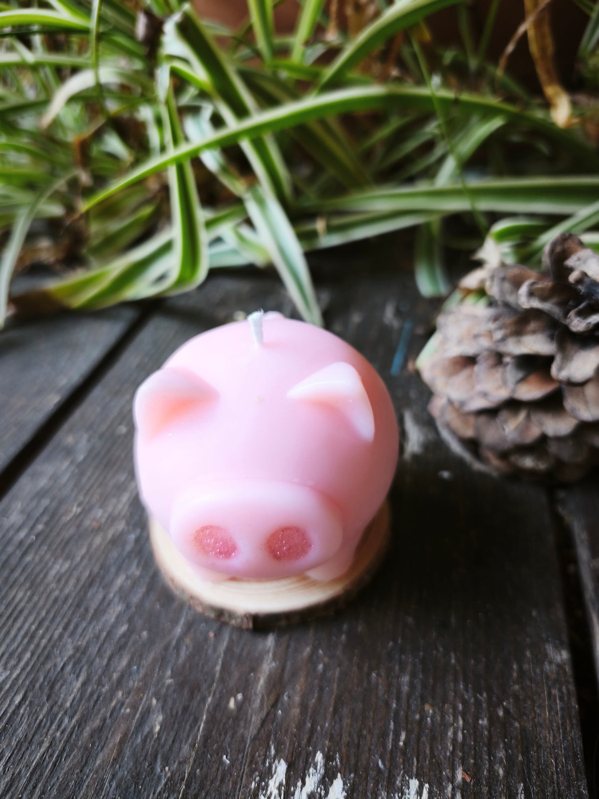 Douce Frimousse – Bougie parfumée Fleur de cerisier