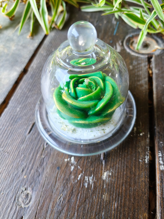 Nectar de Vigne – Rose sous Cloche