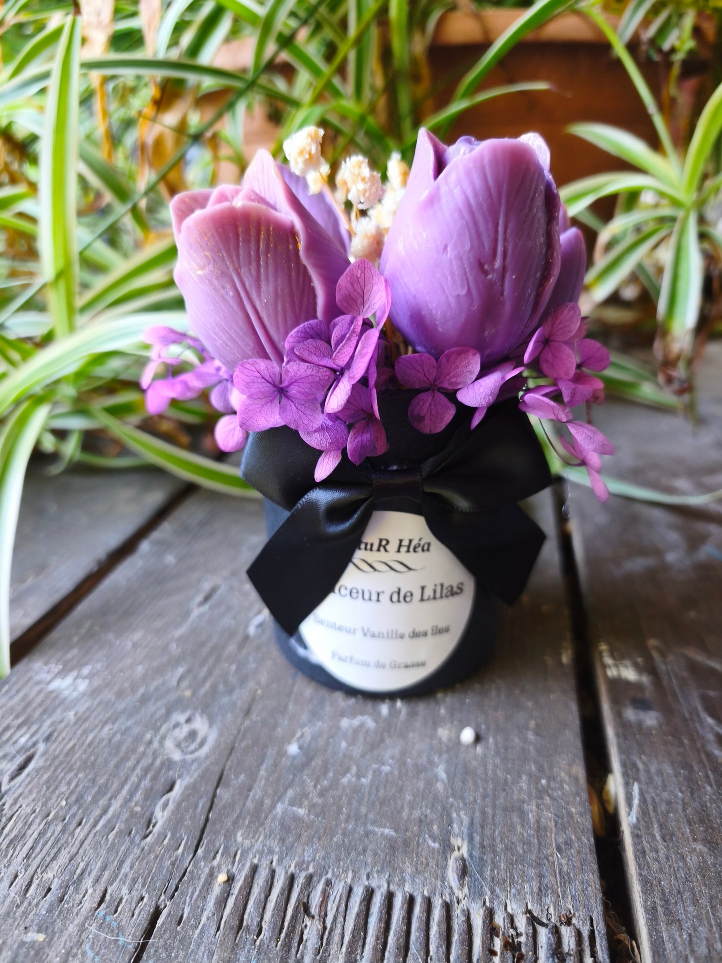 Douceur de Lilas