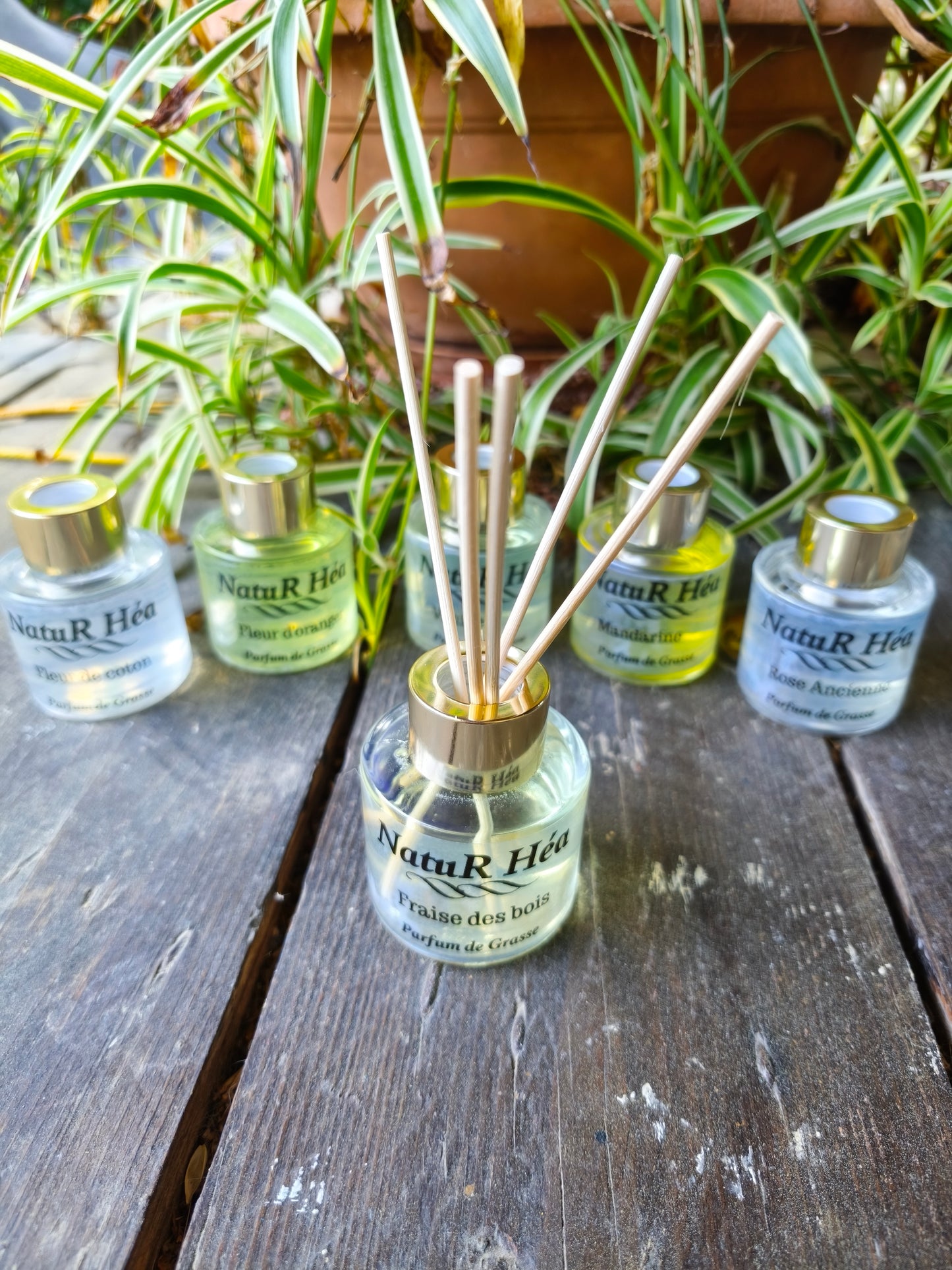 Diffuseur Parfumé d intérieur