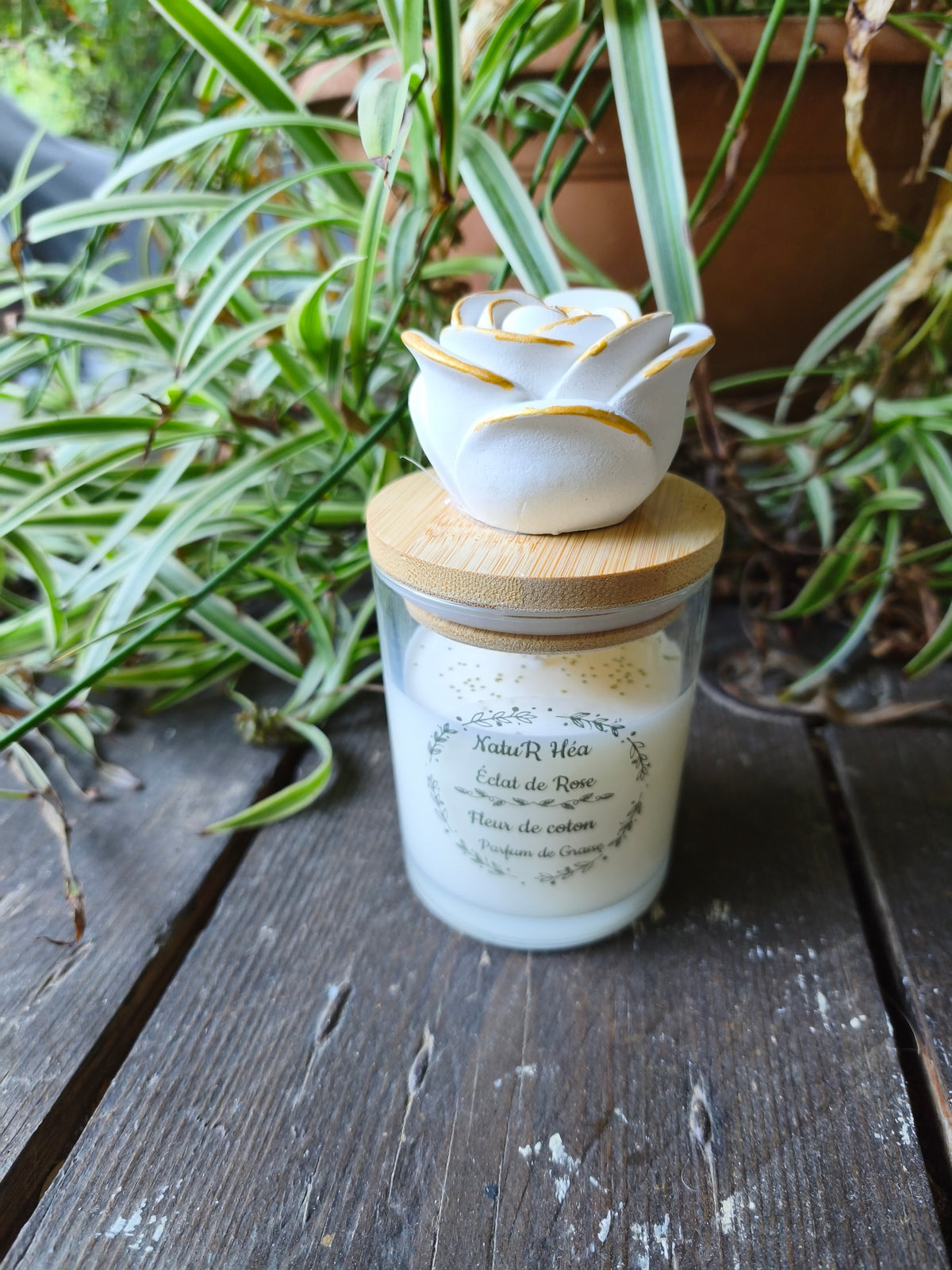 Éclat de Rose – Bougie parfumée Fleur de coton