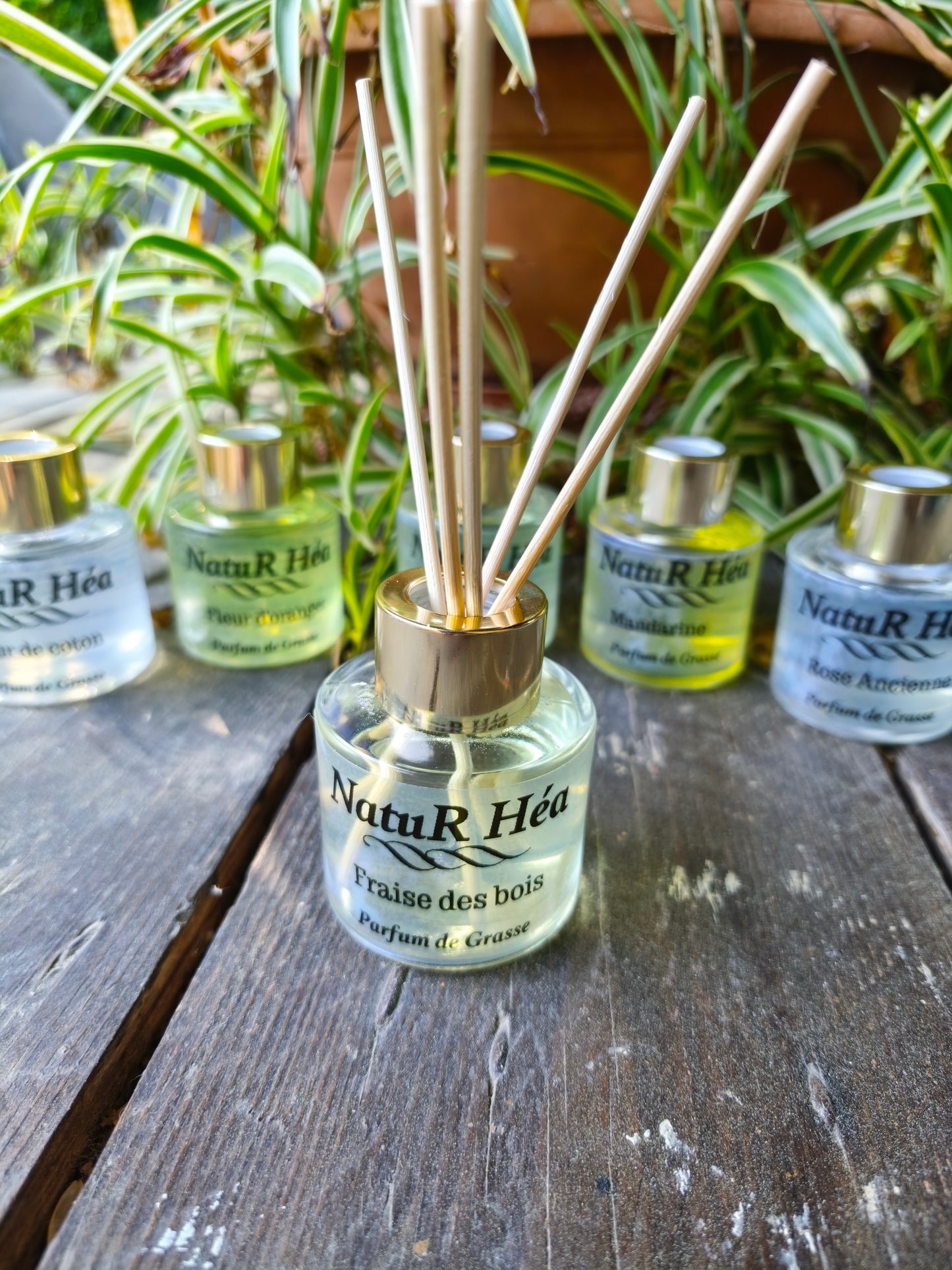 Diffuseur Parfumé d intérieur