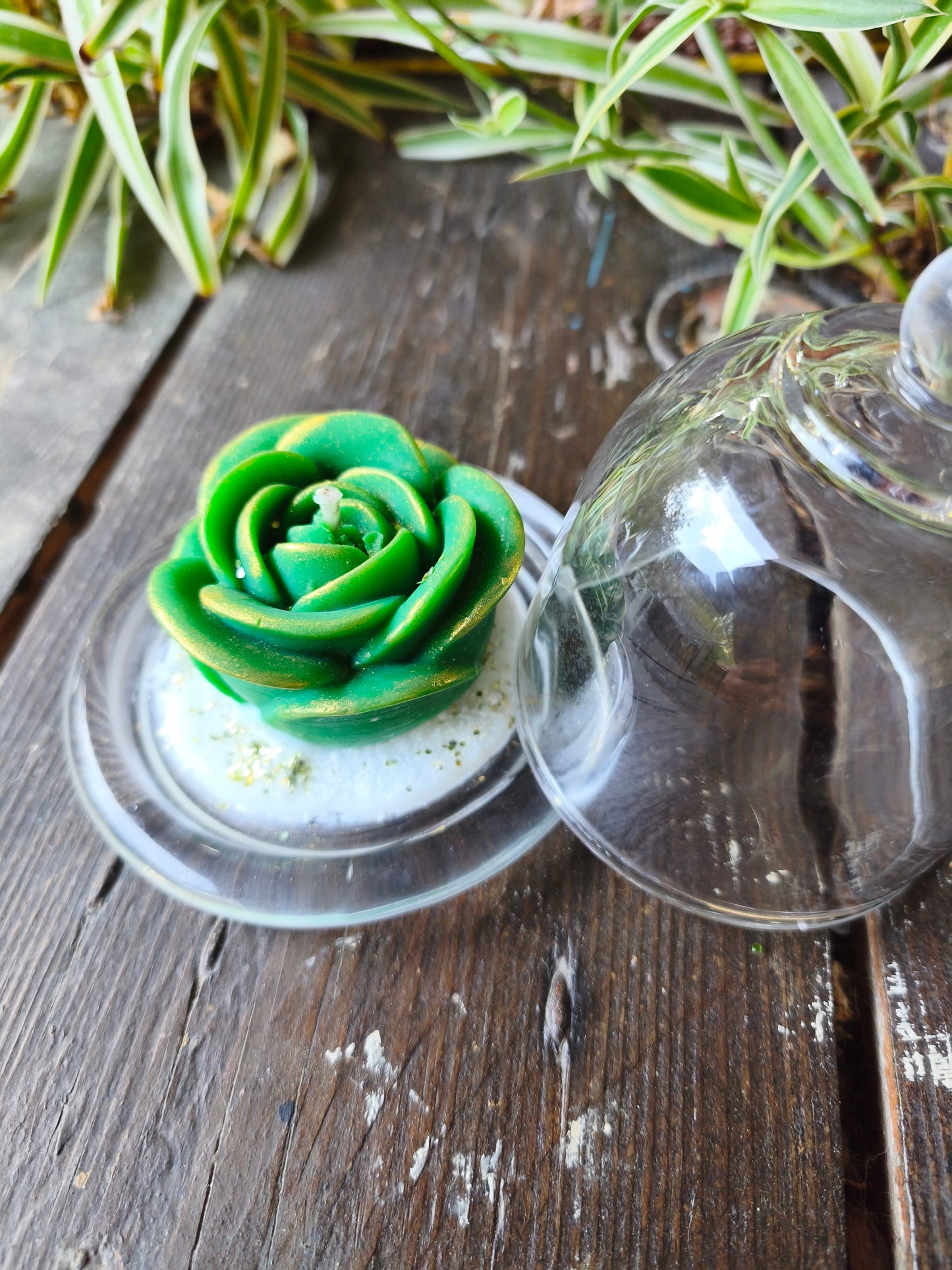 Nectar de Vigne – Rose sous Cloche