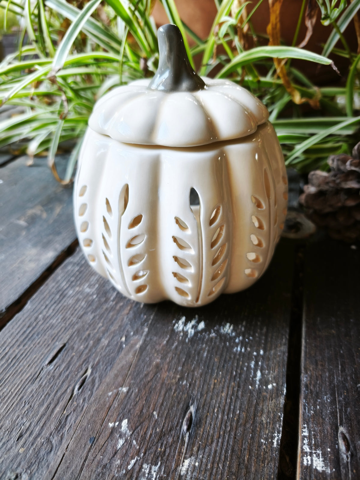 Douceur d'automne
