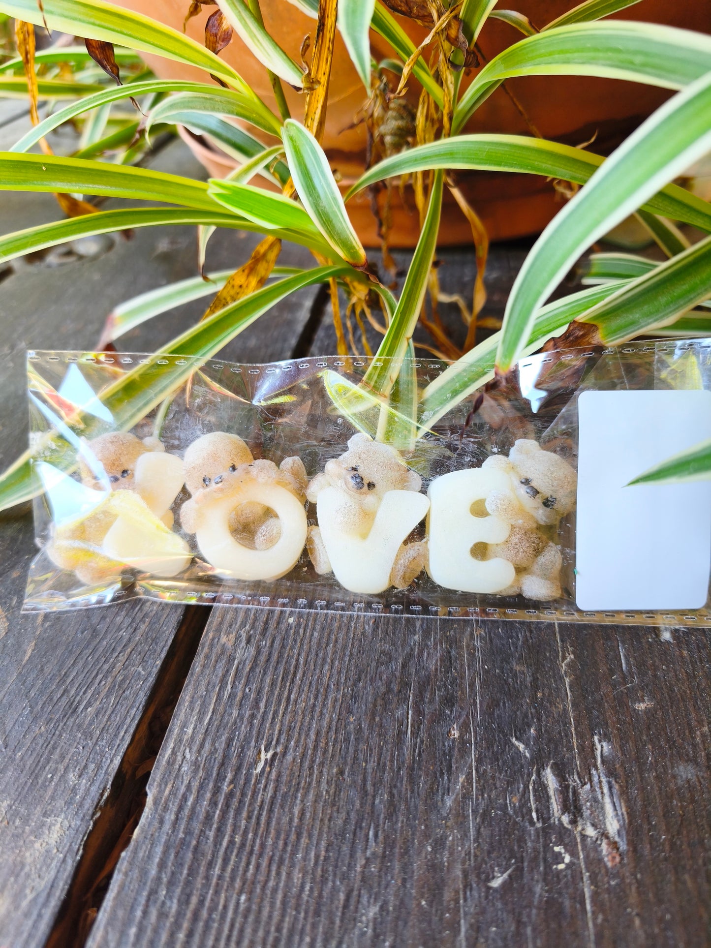 Fondants parfumés Oursons Love personnalisables | Cire végétale & Parfums de Grasse