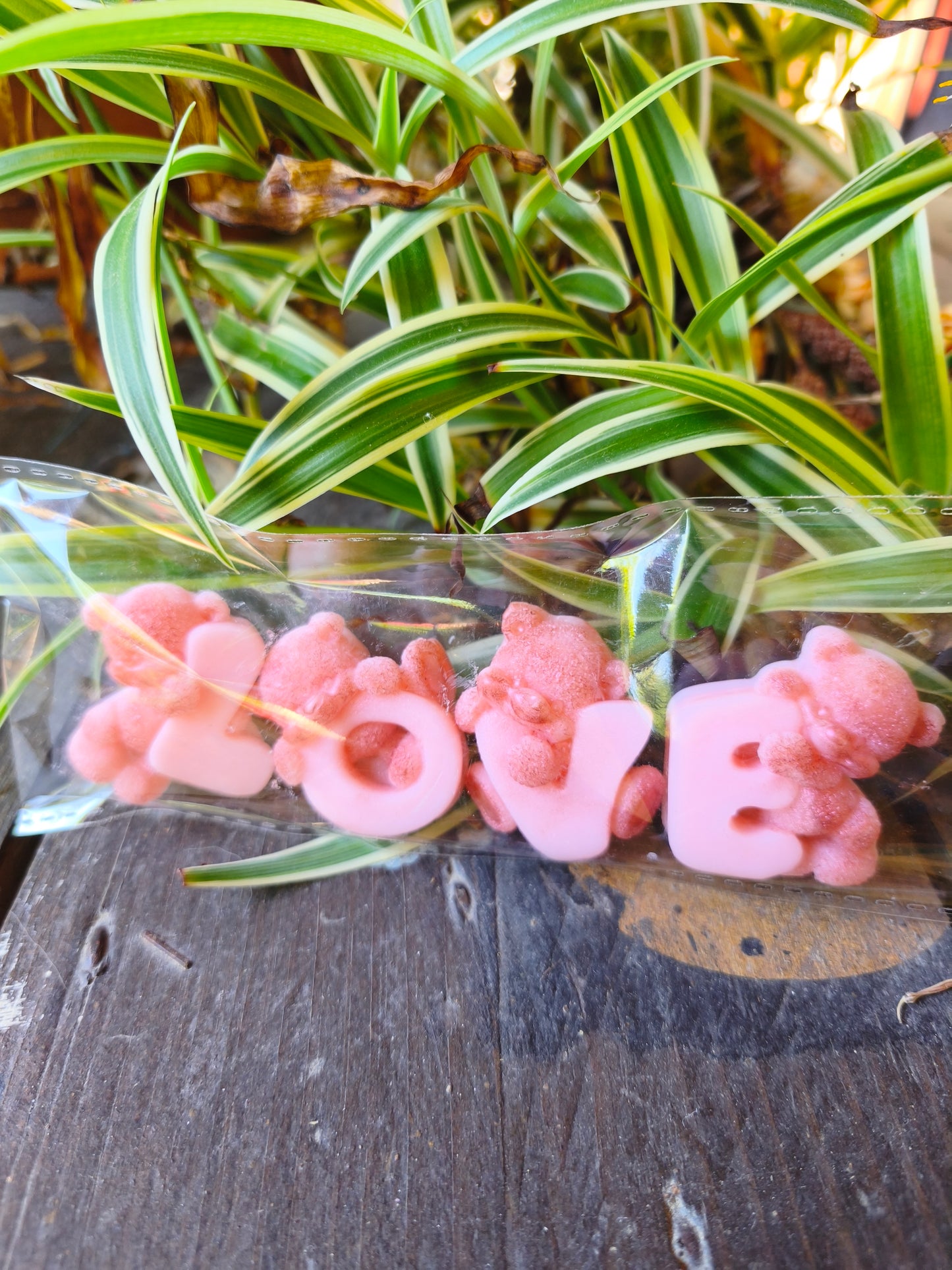 Fondants parfumés Oursons Love personnalisables | Cire végétale & Parfums de Grasse