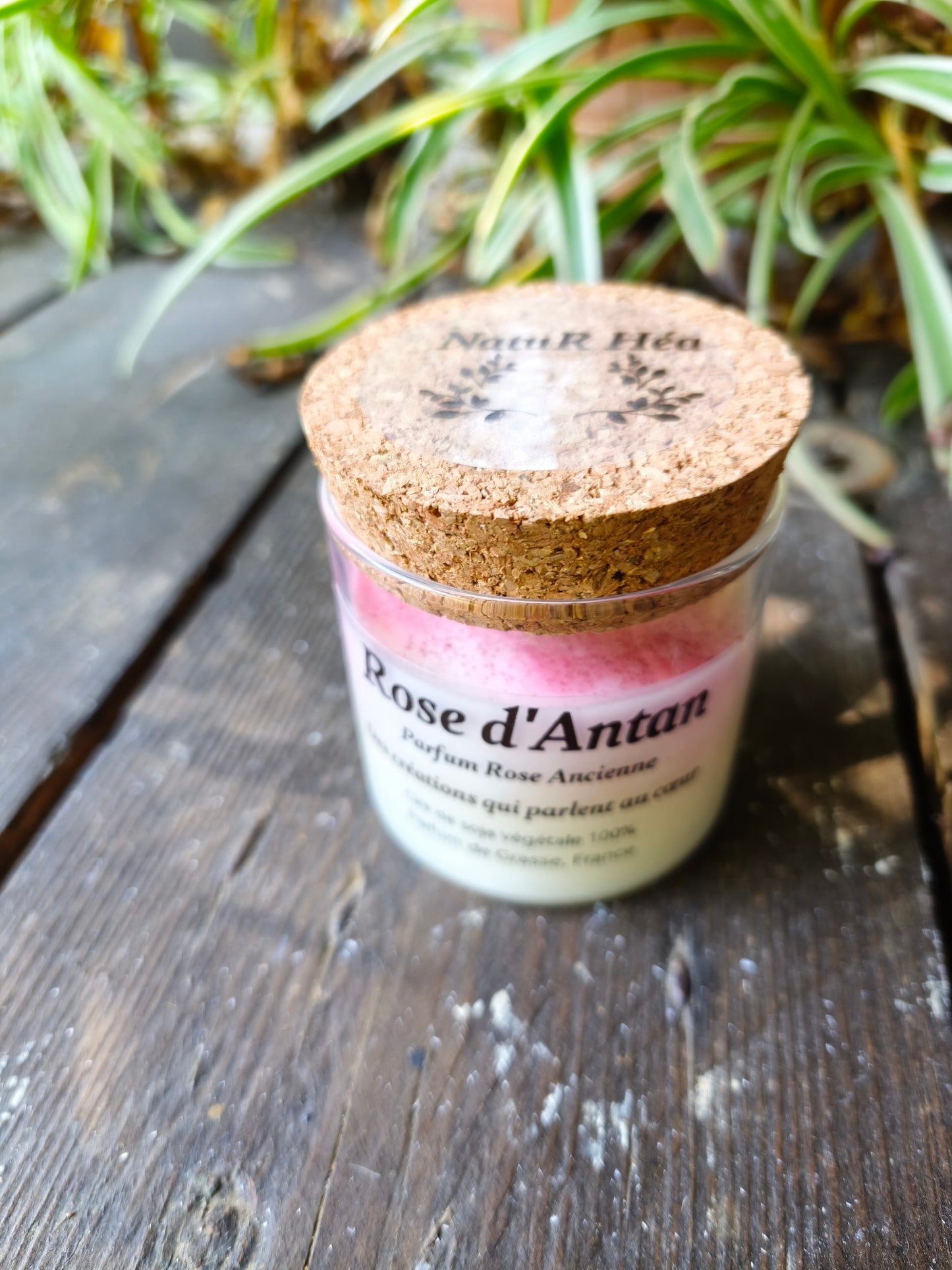 Bougie parfumée Rose d'Antan – Rose Ancienne