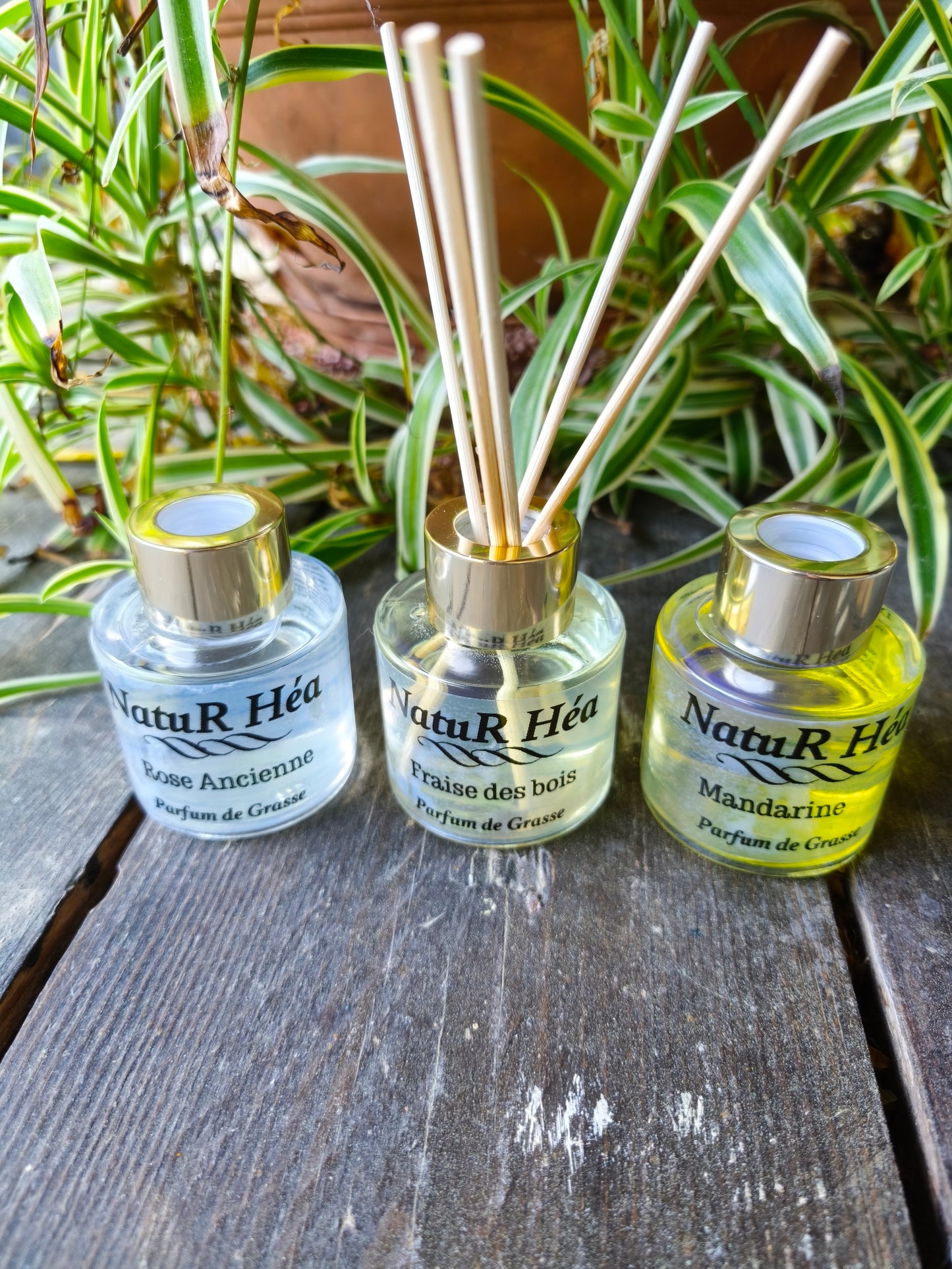 Diffuseur Parfumé d intérieur