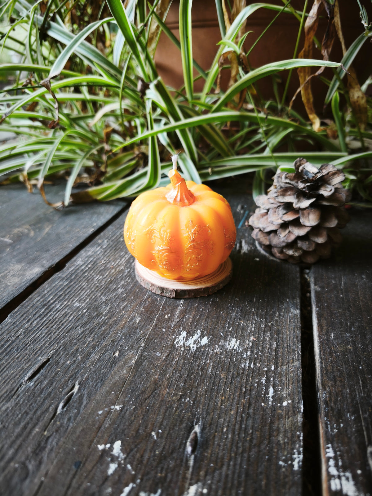 Lueur de Citrouille 🎃✨
Parfum : Citrouille vanillée