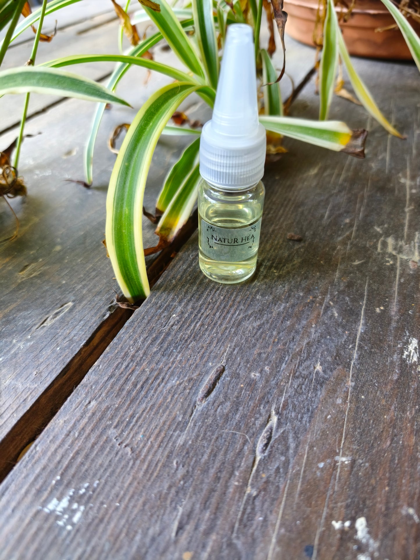 Recharge pour diffuseur voiture – 10 ml