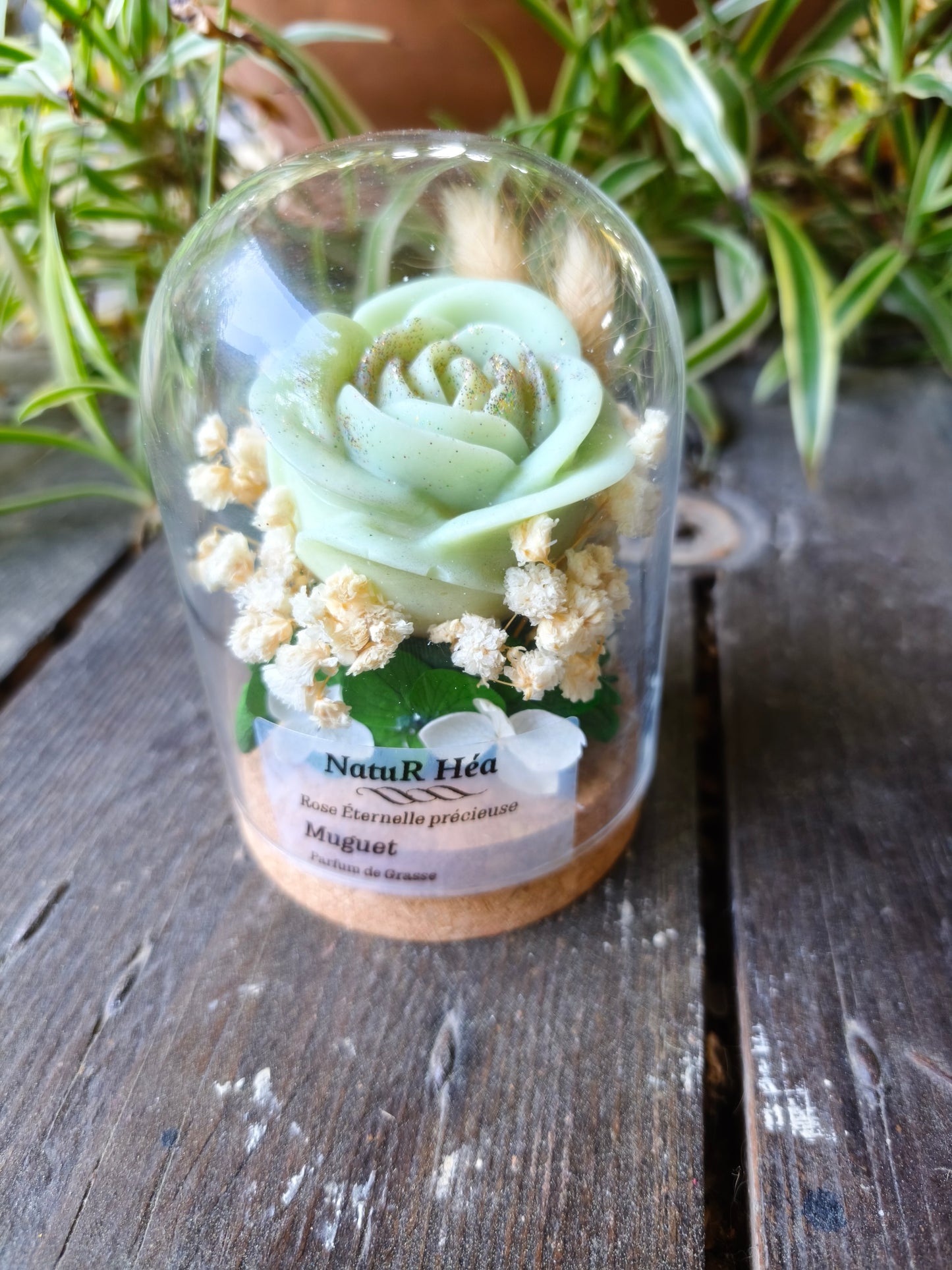 Rose éternelle précieuse senteur muguet Parfum de Grasse