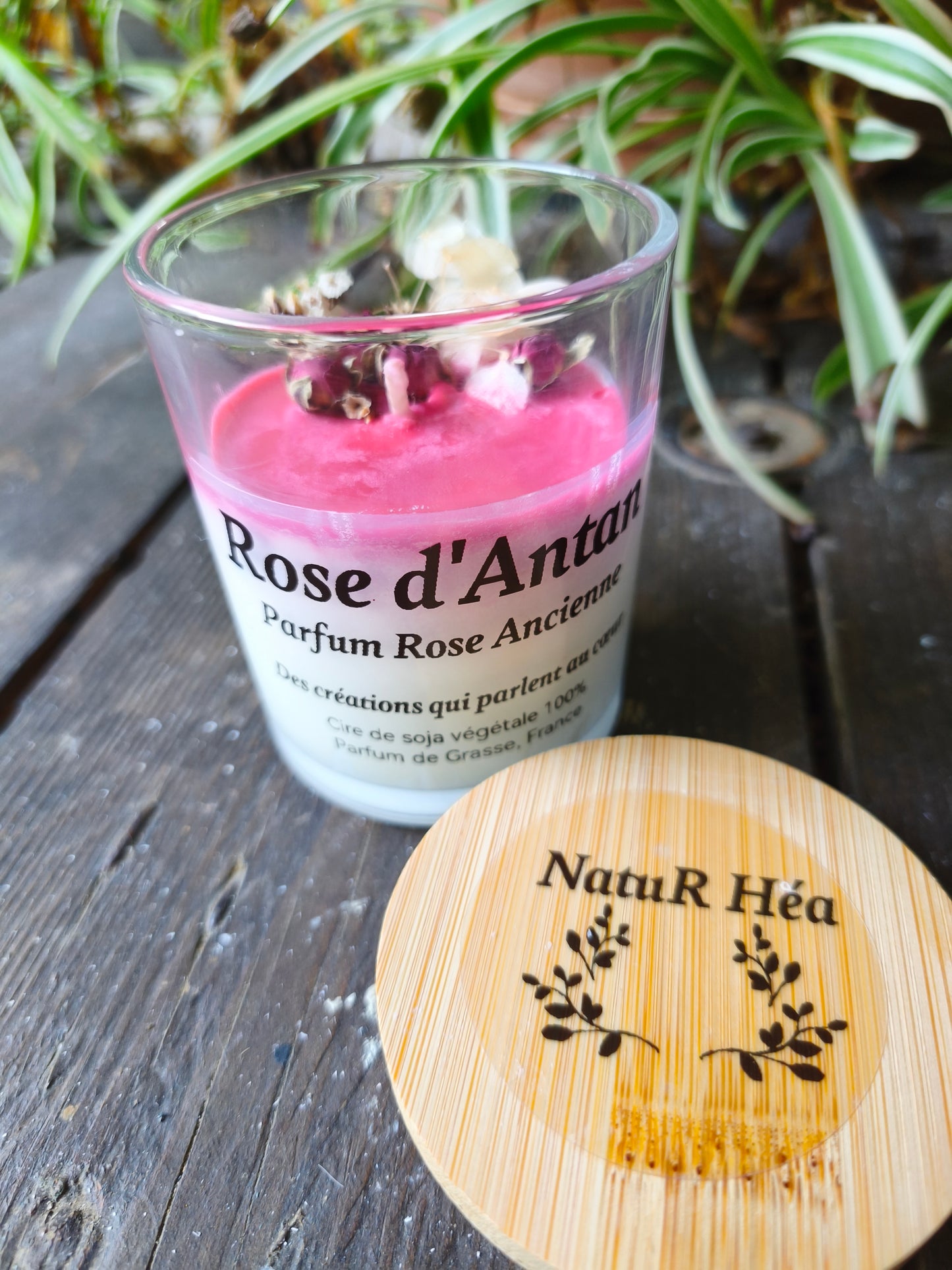 Bougie parfumée Rose d'Antan – Rose Ancienne